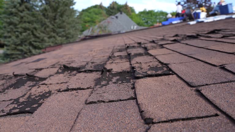 Best Solar Panel Roofing Installation  in Reading, OH
