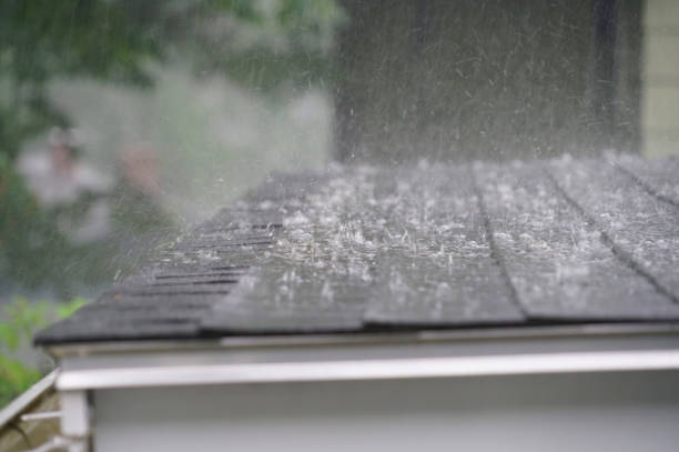 Best Roof Moss and Algae Removal  in Reading, OH